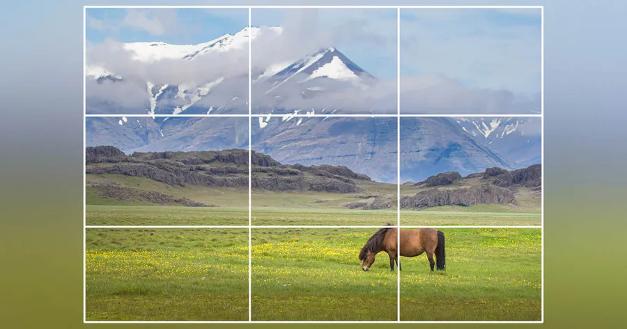 Use the Rule of Thirds in Photography Tips