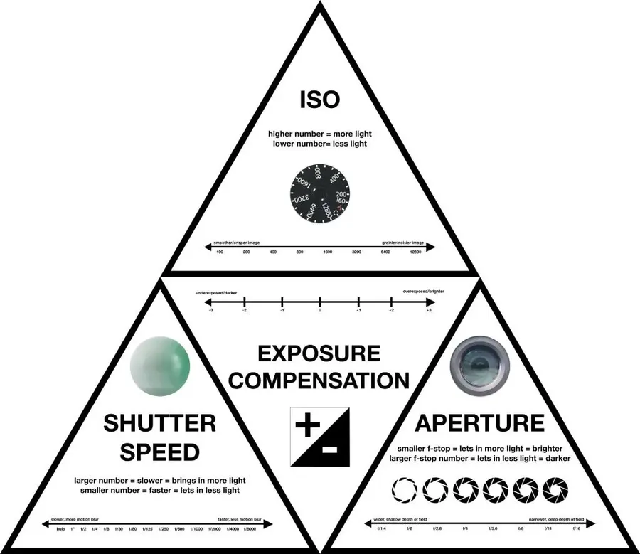 Understanding Aperture, Shutter Speed, and ISO