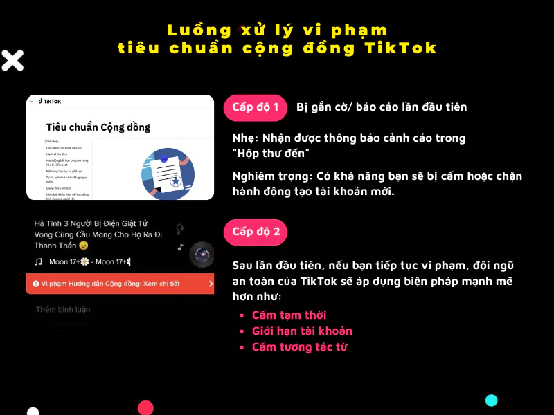 Cập nhật thuật toán Tiktok mới nhất 2025