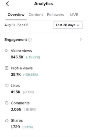 Tiktok Analytics provides key metrics