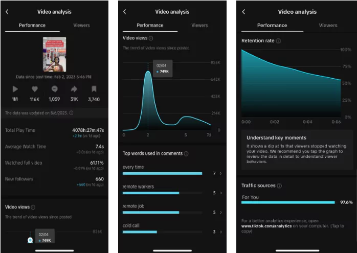 TikTok Video Performance Analytics Screen